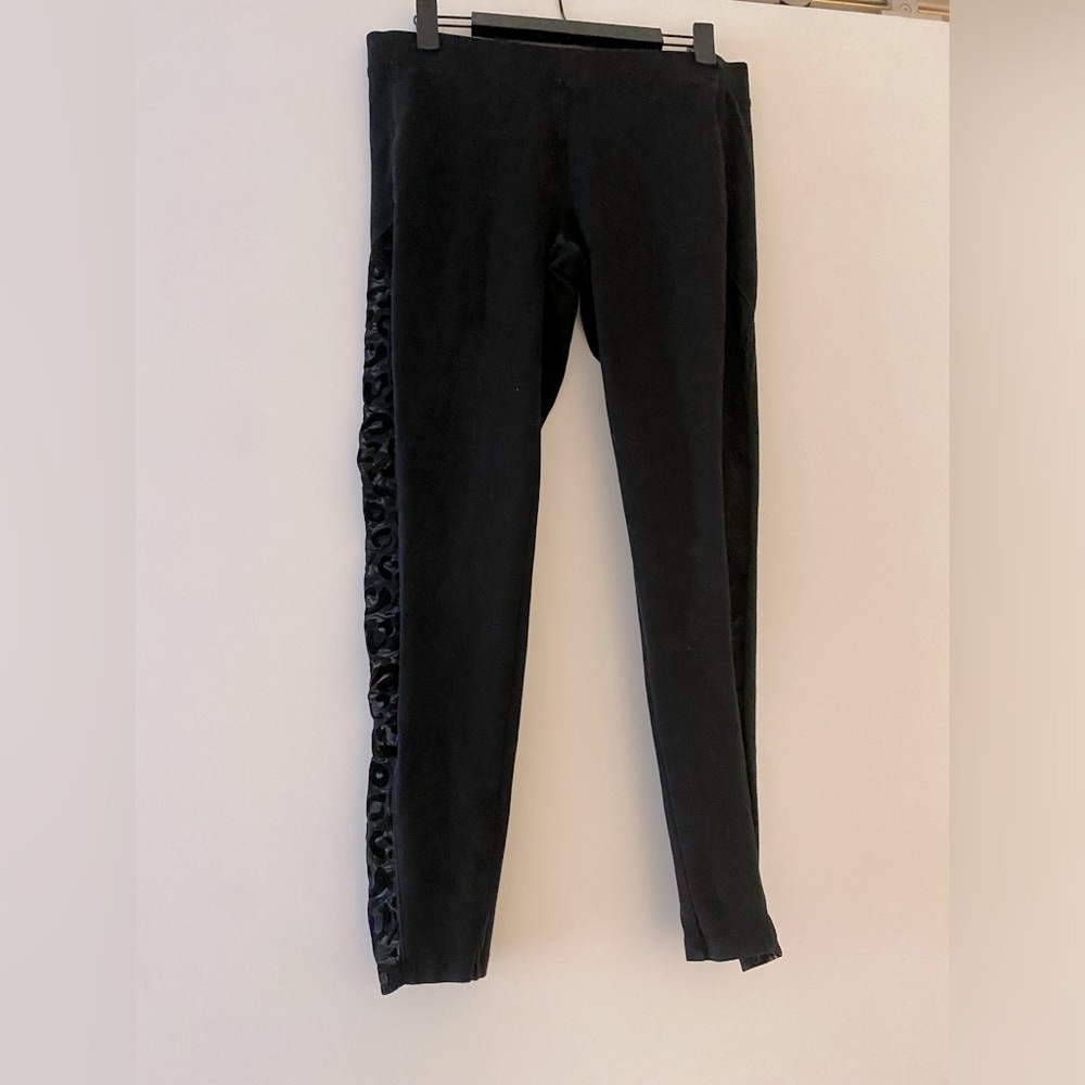 Express Sheer Leopard Print Side Panel Leggings